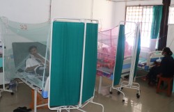 देशभर डेङ्गु उग्ररुपमा फैलदैः एउटै अस्पतालमा दैनिक २० वढी सङ्क्रमित भर्ना